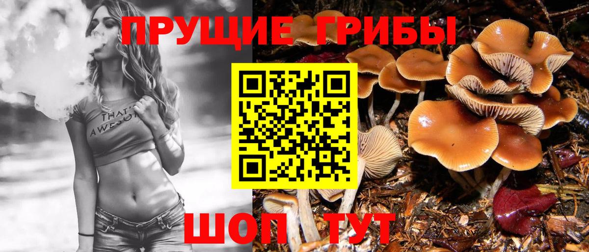 Галлюциногенные грибы GOLDEN TEACHER  Галлюциногенные грибы мицелий  Чита  Вход с VPN 